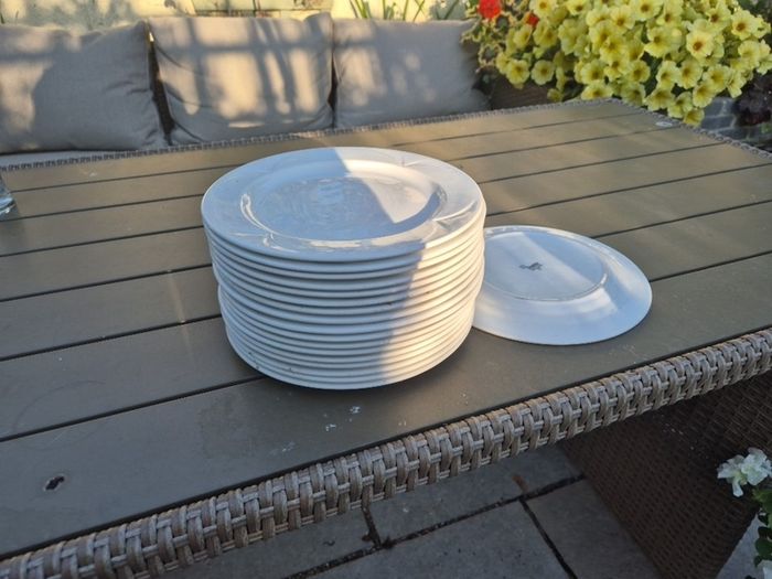 crockery 9 inch  plates