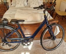 Easy E Women's Electric Bike (Like New)