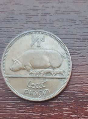 Irish Penny and Half Penny Coins