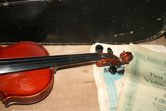 Antique Violin  1930