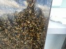 granite/quartz worktops e500 the lot Image 3