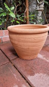 Terracotta pot