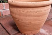 Terracotta pot