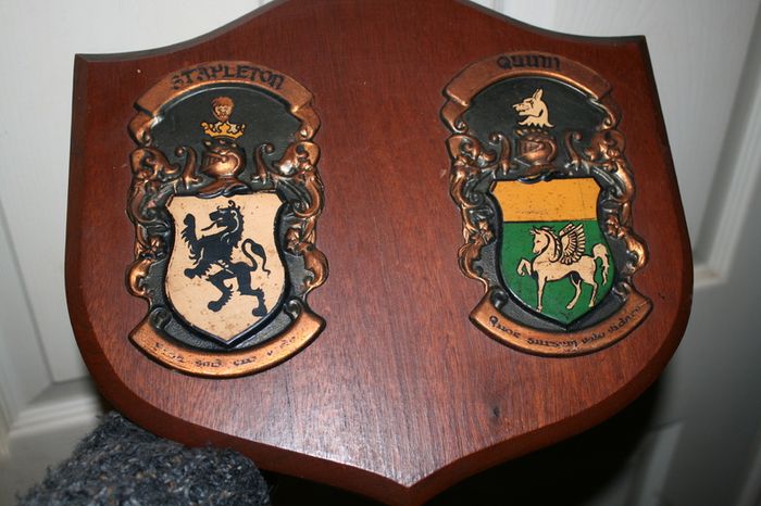 2 Personalized Double Irish Coat of Arms Knight Shield Plaque