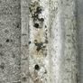 Old concrete planter Image 4
