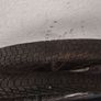 24inch wheels Image 2