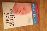 Book- What to Expect,the first year.