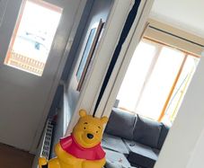 Door Bouncer Winnie The Pooh