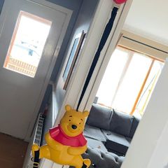 Door Bouncer Winnie The Pooh