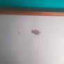 Double Bed Image 2