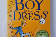 The Boy in the Dress