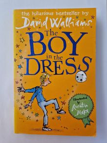 The Boy in the Dress