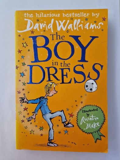 The Boy in the Dress
