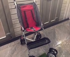 special needs stroller / buggy