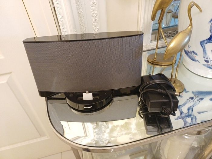 Bose soundock series II
