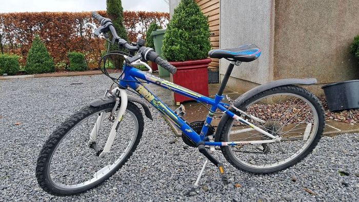 Imagine force 20inch bike