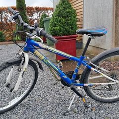 Imagine force 20inch bike