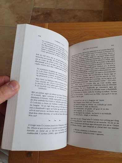 Fili An tSulain by Padraig O'Tuathaigh.