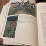 Showjumping Legends : Ireland, 1868-1998 Image 7