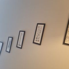 pictures