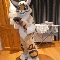 furry mascot fursuit cat long tail chunky legs