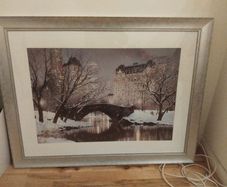 Large picture New York Central park
