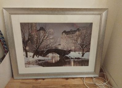 Large picture New York Central park