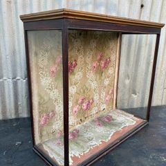 Antique Victorian glass taxadermy display case, needs some resto. c1880