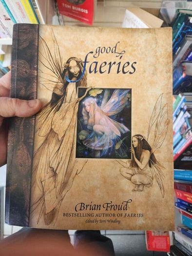 Good Faeries Bad Faeries. By Brian Froud. Edited By  Terri Windling. First Edition Large Volume Paperback In Very Good Condition.
