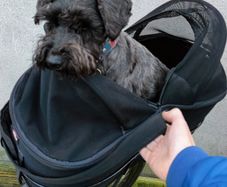 Dog Bicycle Carrier