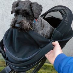 Dog Bicycle Carrier