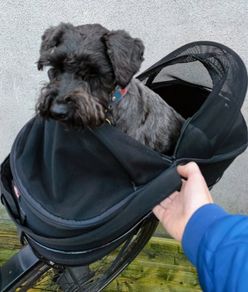 Dog Bicycle Carrier