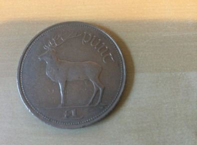 Irish pound coin 1990
