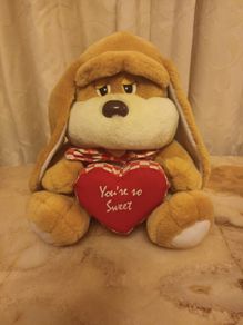 Valentine Teddy