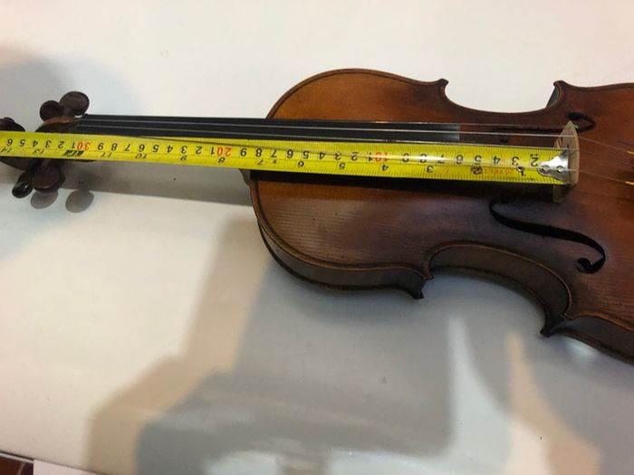 Lady violin