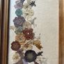 flowers: Vintage Framed Botanical Arrangement / Real Pressed Flower Composition  Artist: Studio "DUHALLOW", Maureen C. Cashell Image 2