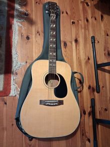 Angelica Guitar