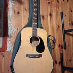 Angelica Guitar