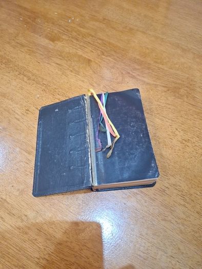 Vintage Bible