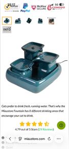 cat water fountain