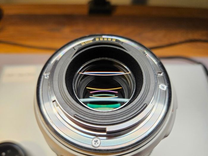 Canon Ef 70-300mm F/4-5.6 L Is Usm