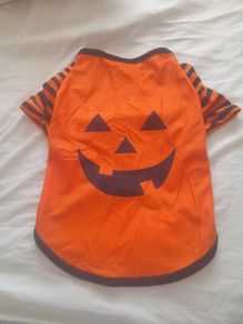 Halloween pumpkin pull over top suitable for small puppy dog kitten small cat