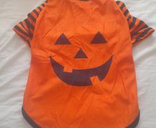 Halloween pumpkin pull over top suitable for small puppy dog kitten small cat