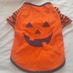 Halloween pumpkin pull over top suitable for small puppy dog kitten small cat