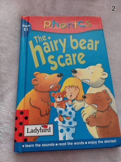 Ladybird ; The hairy bear scare ; Phonics (382)