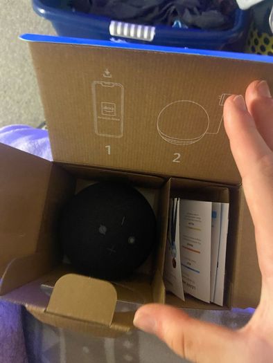 echo dot 5th gen