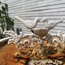 Iron bird bath Image 3
