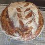Live Sourdough Bread Starter Image 5