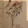 The Country Diary of an Edwardian Lady by Edith Holden Image 10