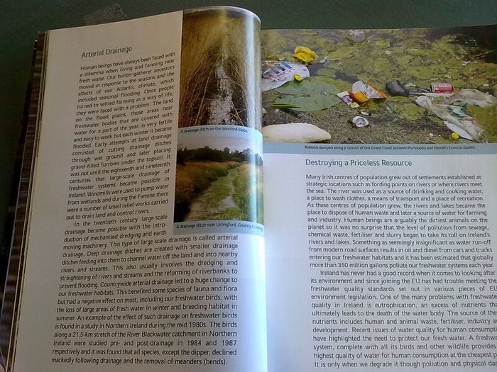 Fresh water birds of Ireland Irish